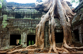 vietnam-and-cambodia-family-discovery-15days