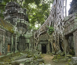 tour cambodia